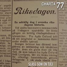 Charta 77: Slåss som en tjej