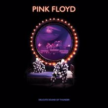 Pink Floyd: Delicate Sound Of Thunder (2019 Remix; Live)