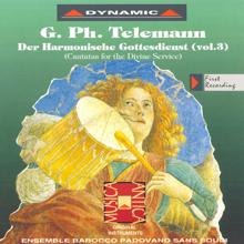 Janet Perry: Telemann: Harmonischer Gottes-Dienst (Der), Vol. 3