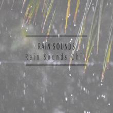 Rain Sounds: Rain Sounds Chill