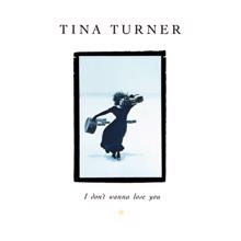 Tina Turner: I Don’t Wanna Lose You (The Singles)
