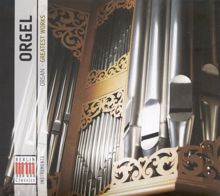 Various Artists: Organ Concerto in G minor, FP 93: I. Andante - II. Allegro giocoso