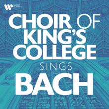 Choir of King's College, Cambridge, Sir David Willcocks: Bach, JS: Jesu, meine Freude, BWV 227: III. Unter deinem Schirmen