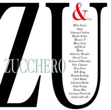 Zucchero: ZU & Co.