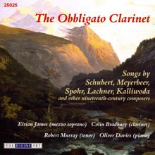 Various Artists: The Obbligato Clarinet