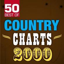 The Nashville Riders: 50 Best of Country Charts 2000