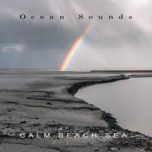 Ocean Sounds: Calm Beach Sea