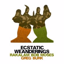 Various Artists: Ecstatic Weanderings