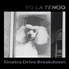 Yo La Tengo: Sinatra Drive Breakdown